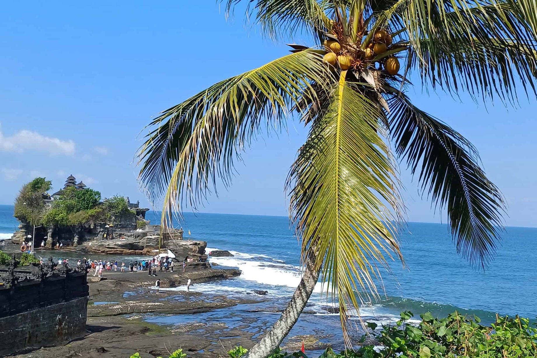 Farbenfrohe Fotografie mit Palme und Kokosnüssen im Vordergrund, Tanah Lot Meerestempel im Hintergrund.