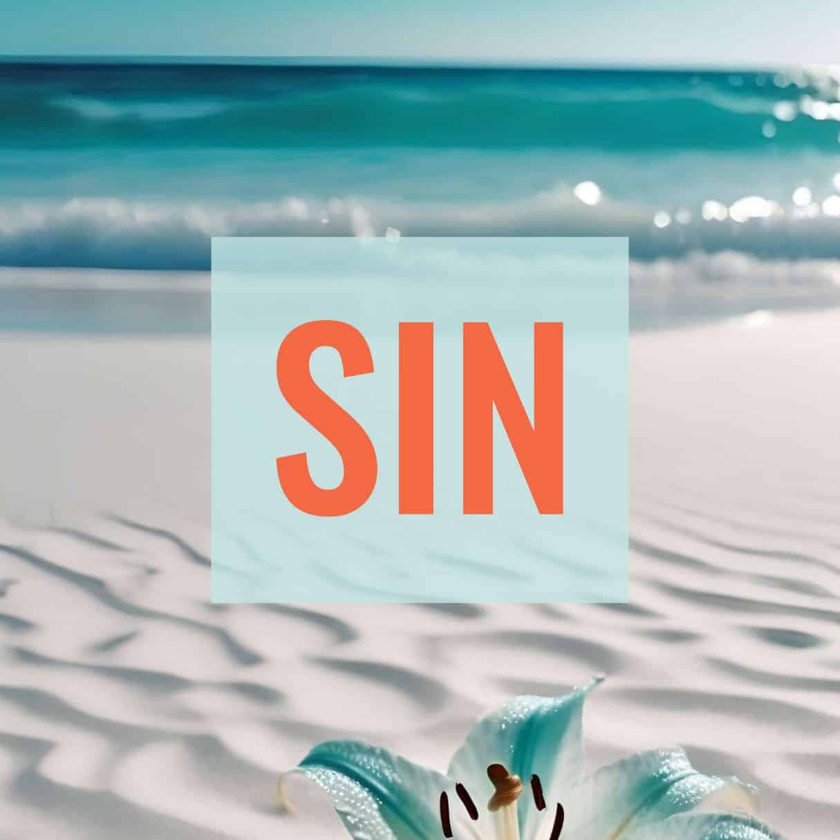 Kollektion - Design - SIN Airport