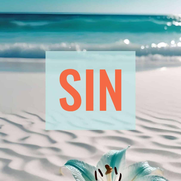 Kollektion - Design - SIN Airport