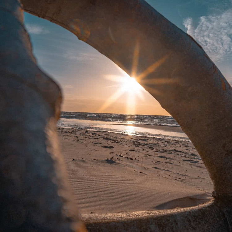 Edition: Baltic Bliss