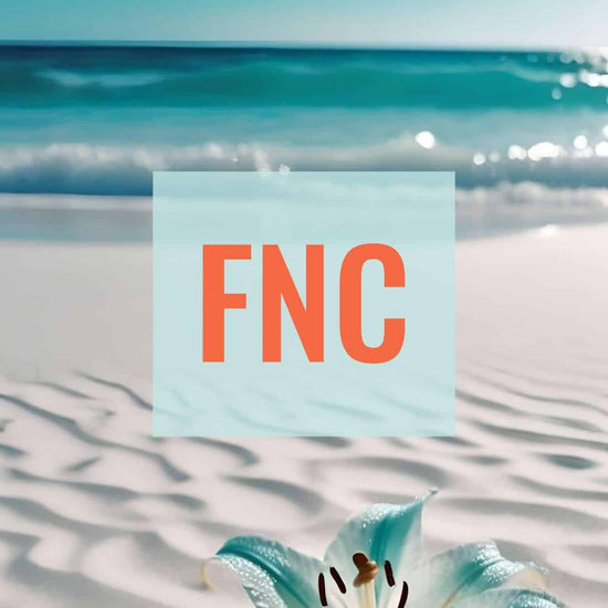 KI Hintergrund türkisfarbenes Wasser mit Design des bunten FNC Airport Code. Fernweh zum Anziehen? travelPrint4U.de